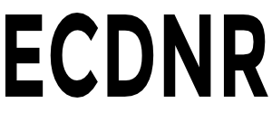 Easy CDN Rewrite - Joomla! Plugin - Logo